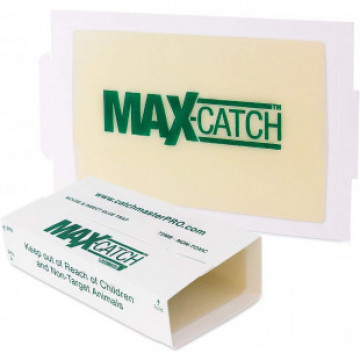 Клеевой лист Catchmaster® 72MAX